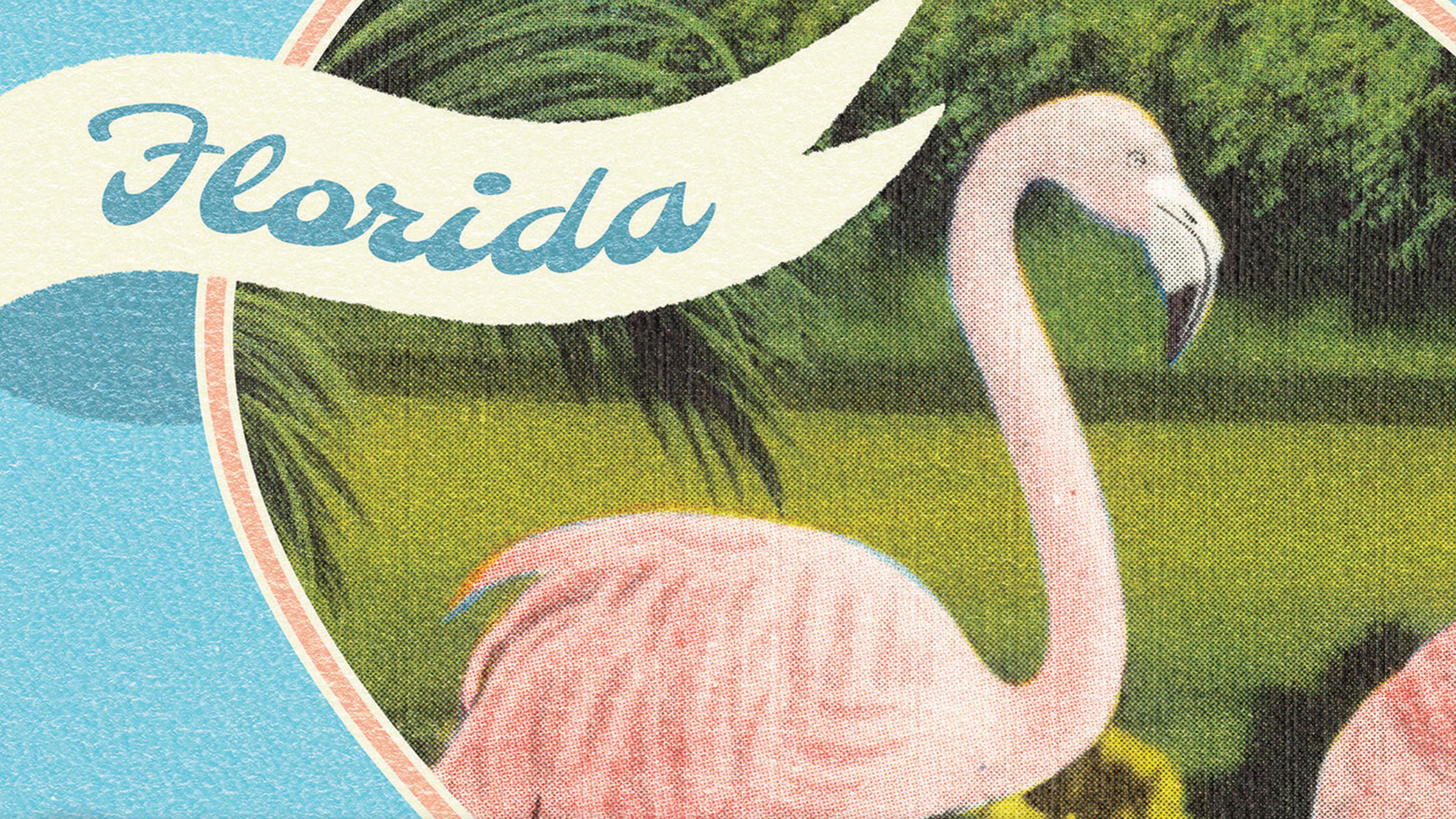 Florida Flamingos - The Mousepad Company